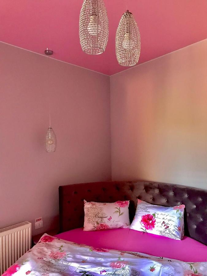 Sweet Pink By Miro Apartment ซินายา ภายนอก รูปภาพ