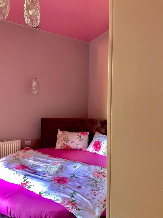 Sweet Pink By Miro Apartment ซินายา ภายนอก รูปภาพ