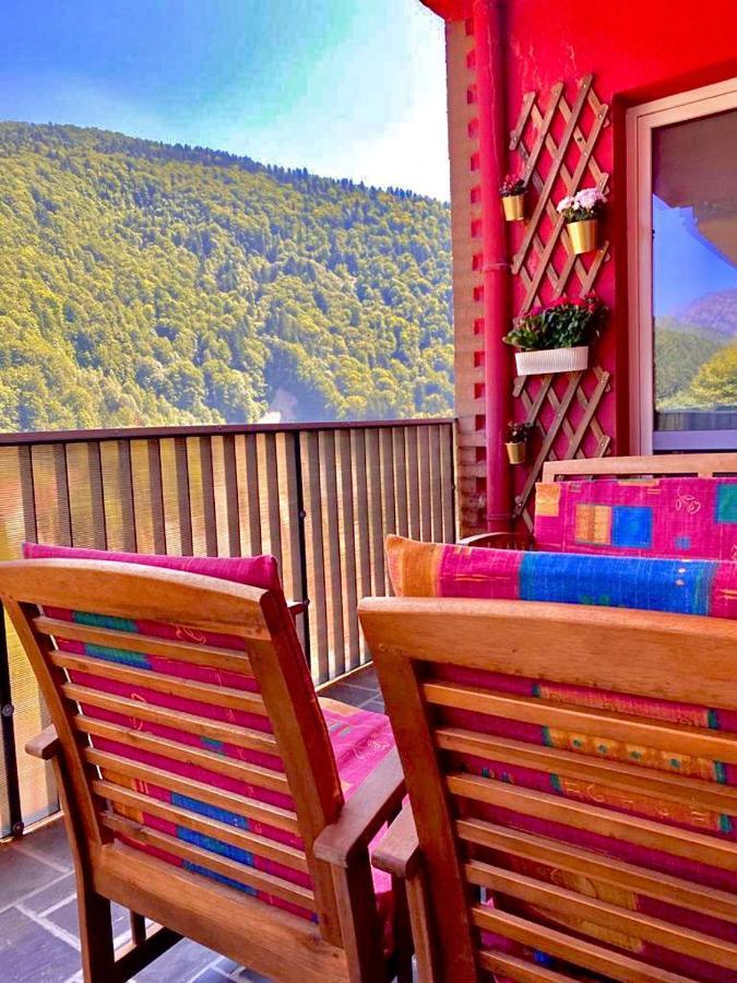 Sweet Pink By Miro Apartment ซินายา ภายนอก รูปภาพ